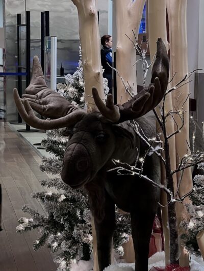 North Pole Dog Park - North Pole, AK