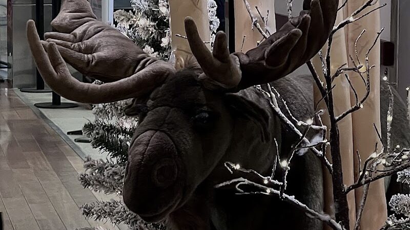 North Pole Dog Park - North Pole, AK