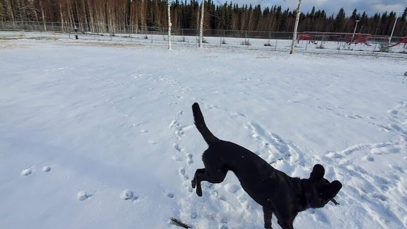 North Pole Dog Park - North Pole, AK
