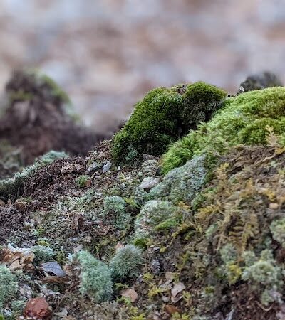Avalonia TriTown Preserve Parking - North Stonington, CT