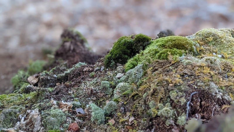 Avalonia TriTown Preserve Parking - North Stonington, CT