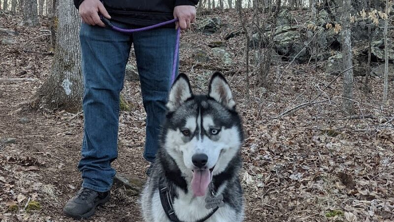 Avalonia TriTown Preserve Parking - North Stonington, CT