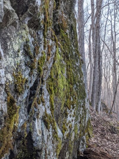 Avalonia TriTown Preserve Parking - North Stonington, CT