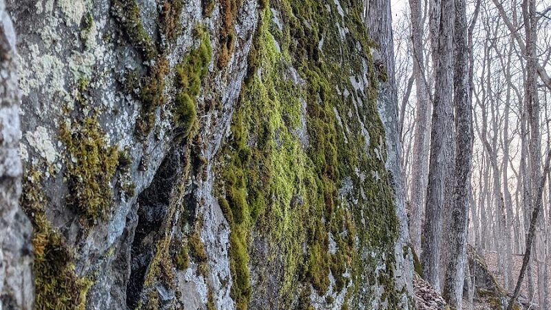 Avalonia TriTown Preserve Parking - North Stonington, CT