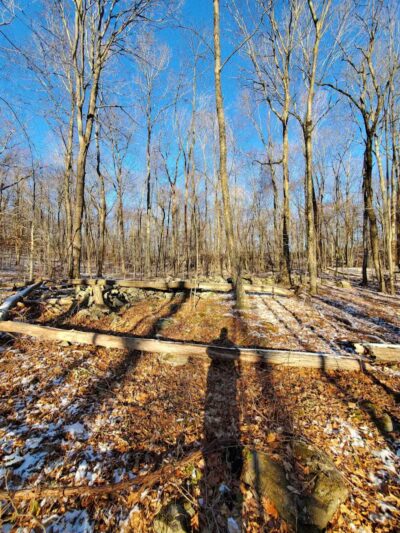 Avalonia TriTown Preserve Parking - North Stonington, CT