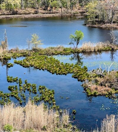 Mansfield Hollow Dam Walk - North Windham, CT
