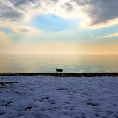 Bayley Beach - Norwalk, CT