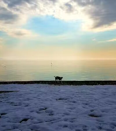 Bayley Beach - Norwalk, CT