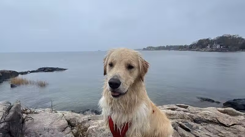 Bayley Beach - Norwalk, CT