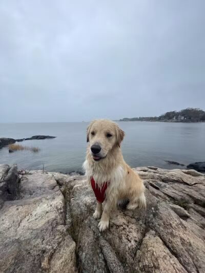 Bayley Beach - Norwalk, CT