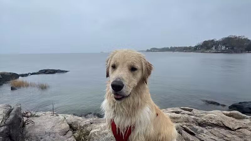 Bayley Beach - Norwalk, CT