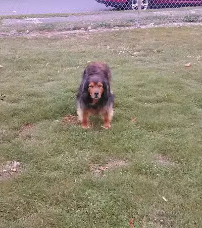 Broad River Park - Norwalk, CT