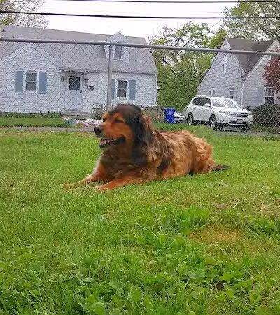 Broad River Park - Norwalk, CT