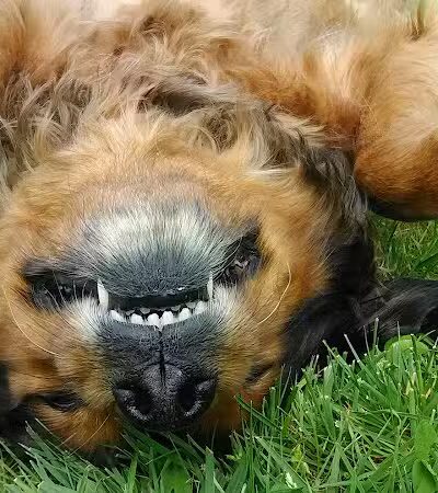 Broad River Park - Norwalk, CT