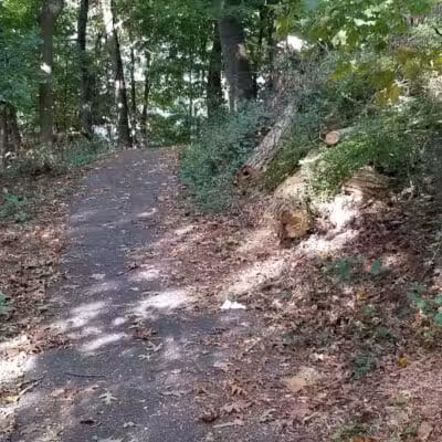 Flax Hill Park - Norwalk, CT