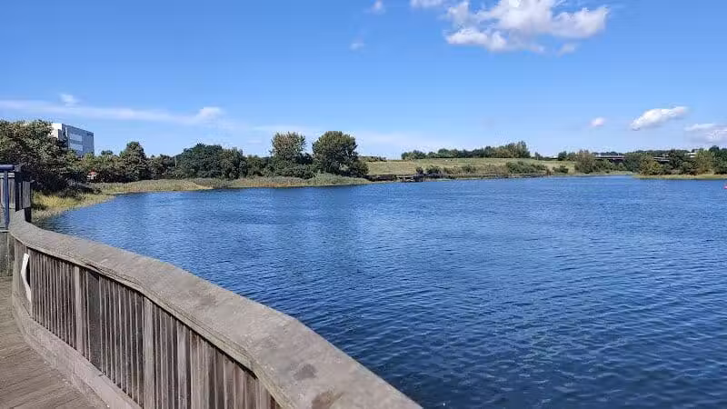Oyster Shell Park - Norwalk, CT
