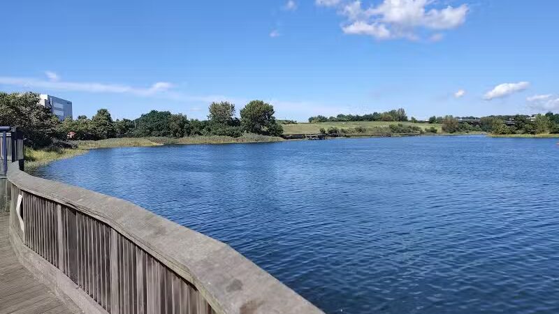 Oyster Shell Park - Norwalk, CT