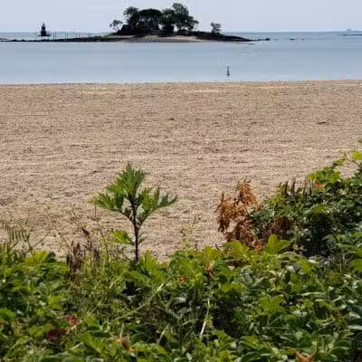 Shady Beach Park - Norwalk, CT