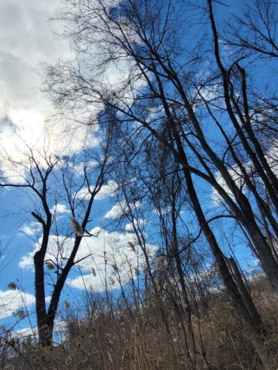 Nyack Beach State Park - Nyack, NY