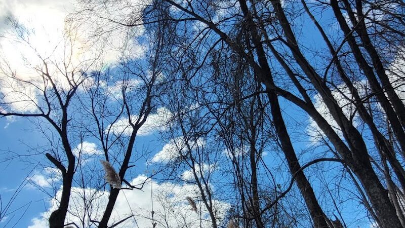 Nyack Beach State Park - Nyack, NY