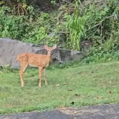 Nyack Beach State Park - Nyack, NY