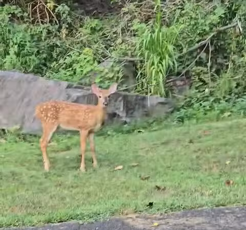 Nyack Beach State Park - Nyack, NY