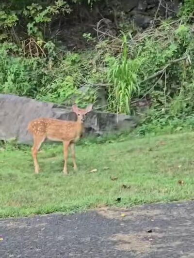 Nyack Beach State Park - Nyack, NY