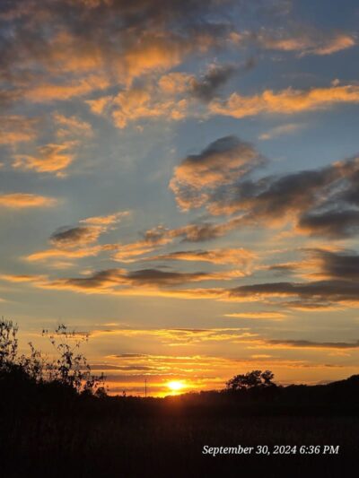 Dames Park - O'Fallon, MO