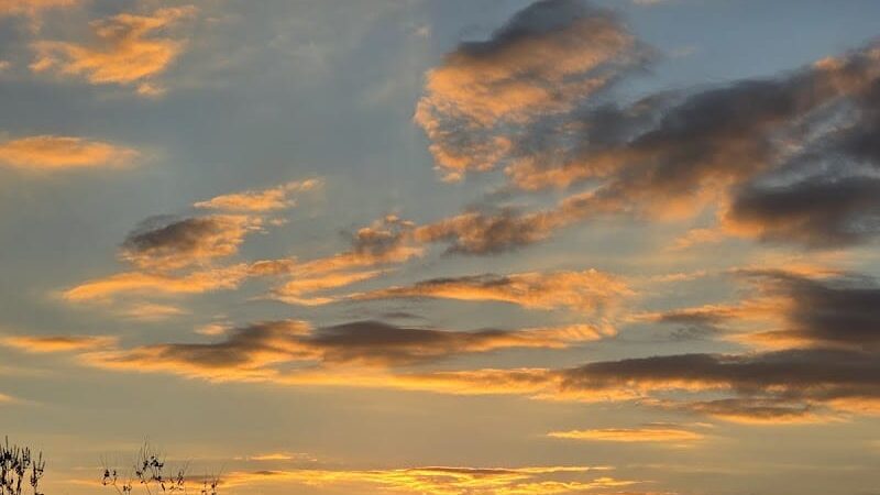 Dames Park - O'Fallon, MO