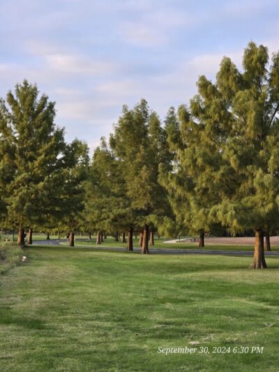 Dames Park - O'Fallon, MO