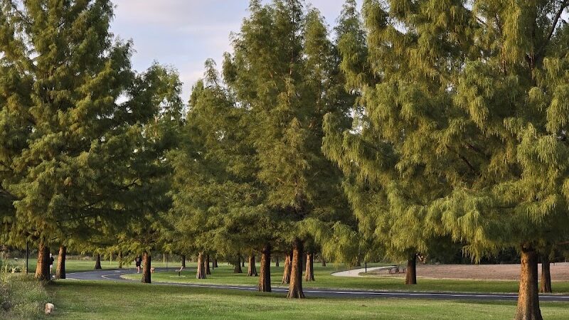 Dames Park - O'Fallon, MO