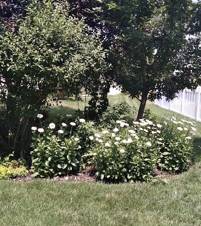 Knaust Park - O'Fallon, MO