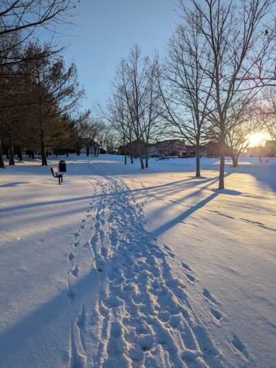 Knaust Park - O'Fallon, MO