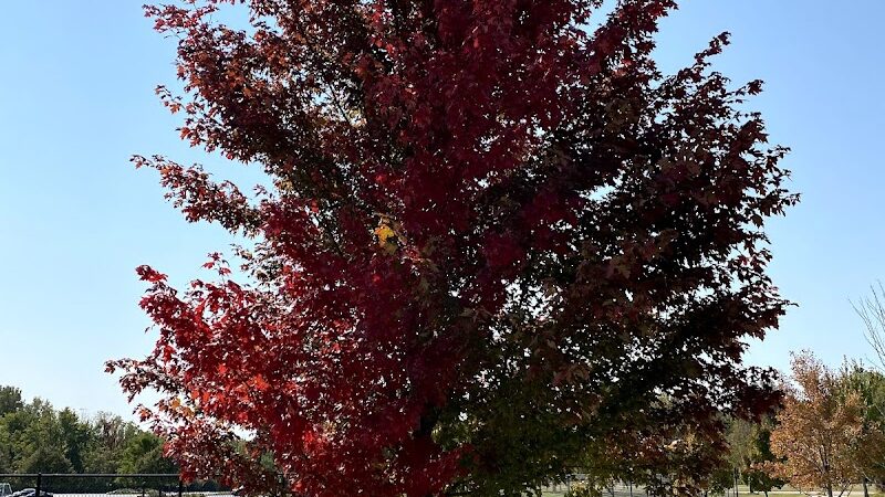 O'Fallon Sports Park - O'Fallon, MO