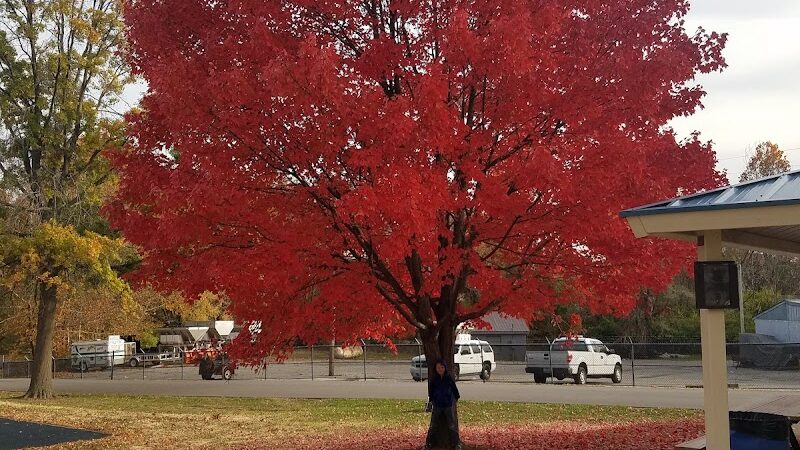 Playground - O'Fallon, MO
