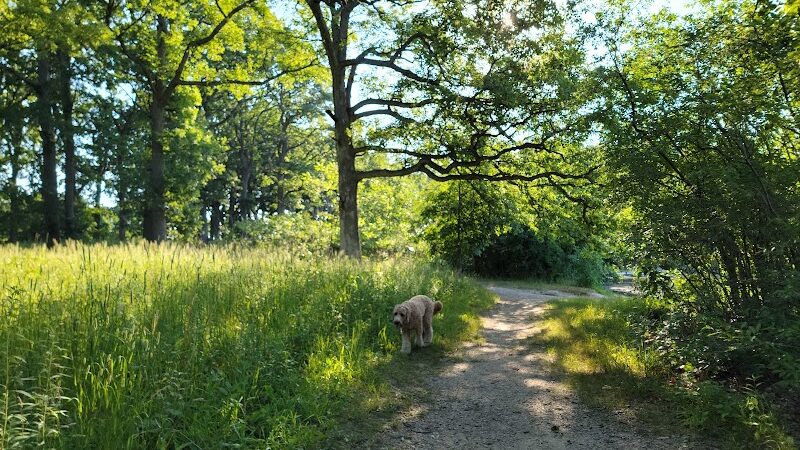 Mayslake - Oak Brook, IL