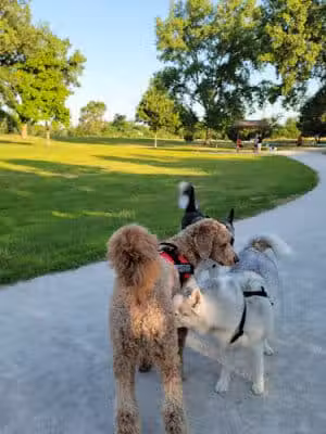 Mayslake - Oak Brook, IL