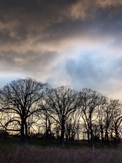 Mayslake - Oak Brook, IL