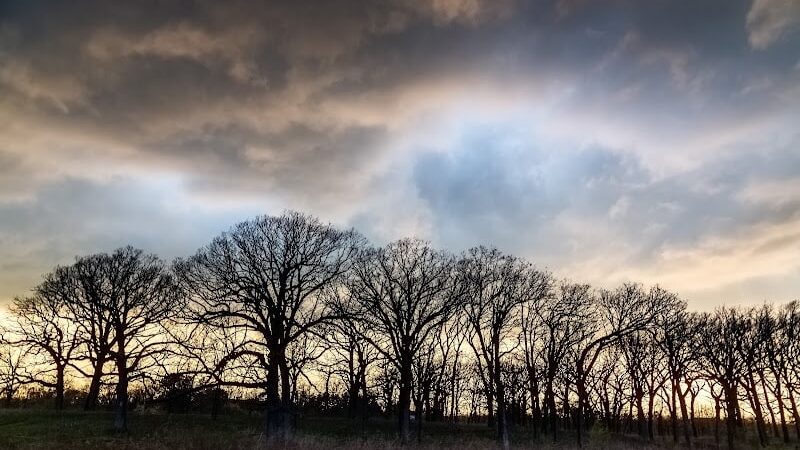 Mayslake - Oak Brook, IL