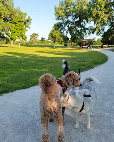 Mayslake - Oak Brook, IL