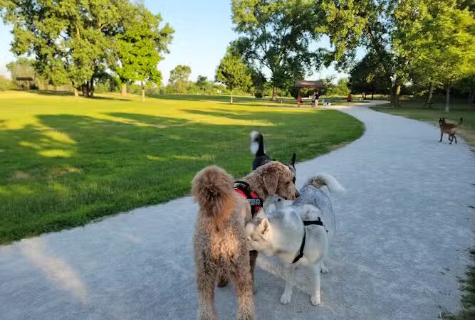 Mayslake - Oak Brook, IL