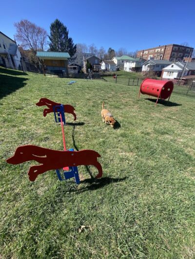 Oak Hill Dog Park - Oak Hill, WV