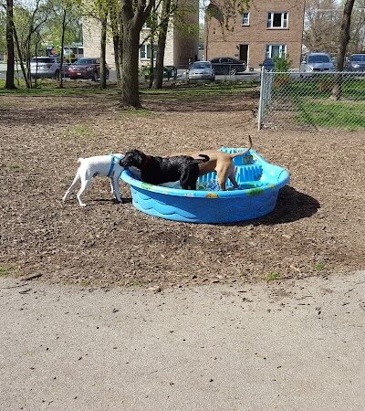 Bailey's Crossing Dog Park - Oak Lawn, IL