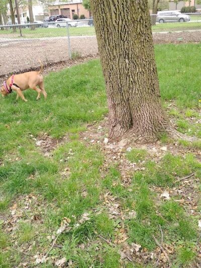 Bailey's Crossing Dog Park - Oak Lawn, IL
