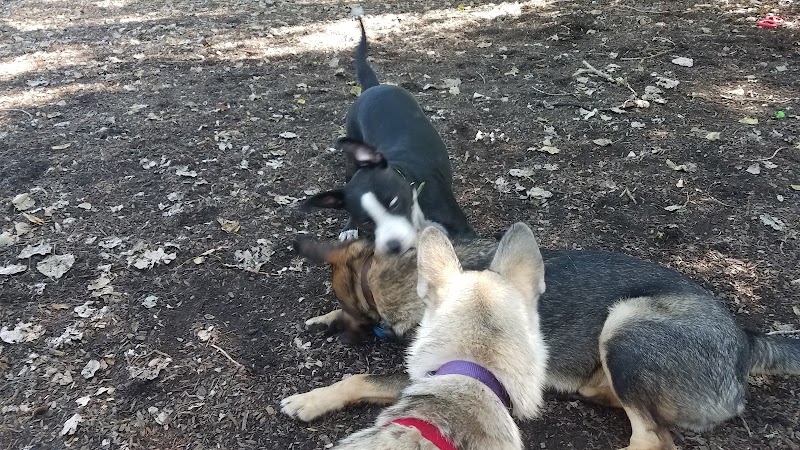 Bailey's Crossing Dog Park - Oak Lawn, IL