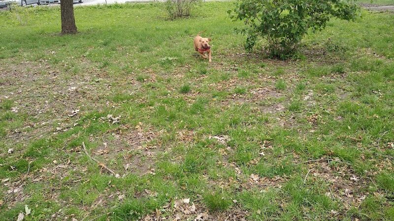 Bailey's Crossing Dog Park - Oak Lawn, IL