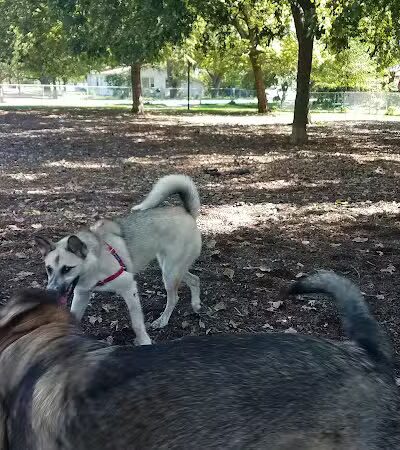 Bailey's Crossing Dog Park - Oak Lawn, IL