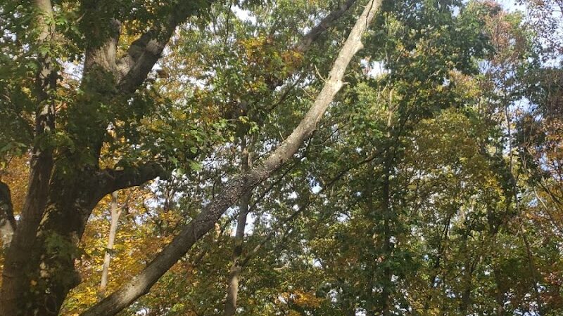 Jefferson Dogpark - Oak Ridge, NJ