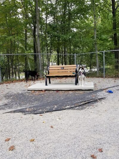 Jefferson Dogpark - Oak Ridge, NJ