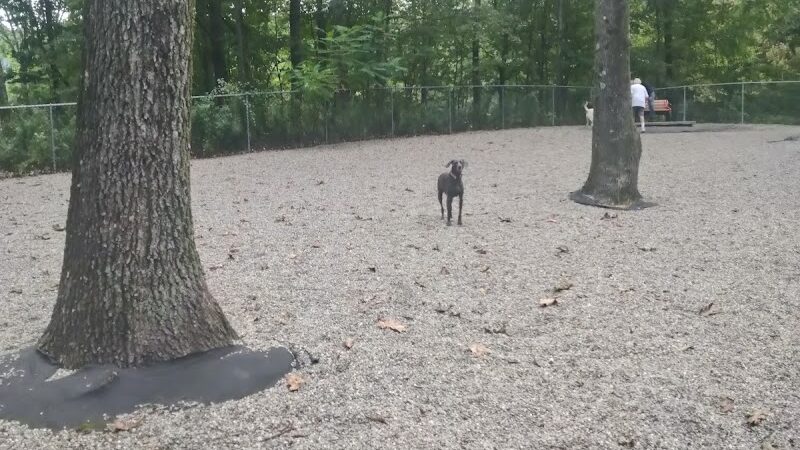 Jefferson Dogpark - Oak Ridge, NJ